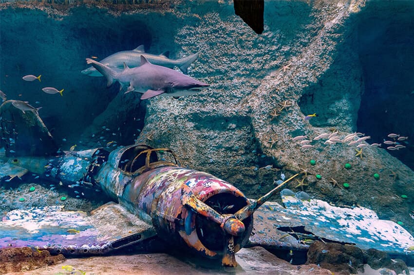 Acuario de Abu Dhabi