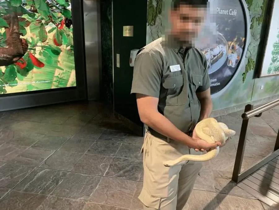 Paquetes de encuentro con Animales dubai