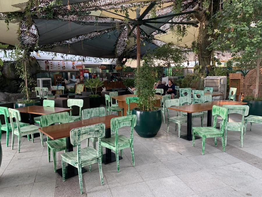 Experiencia gastronómica en Green Planet Café