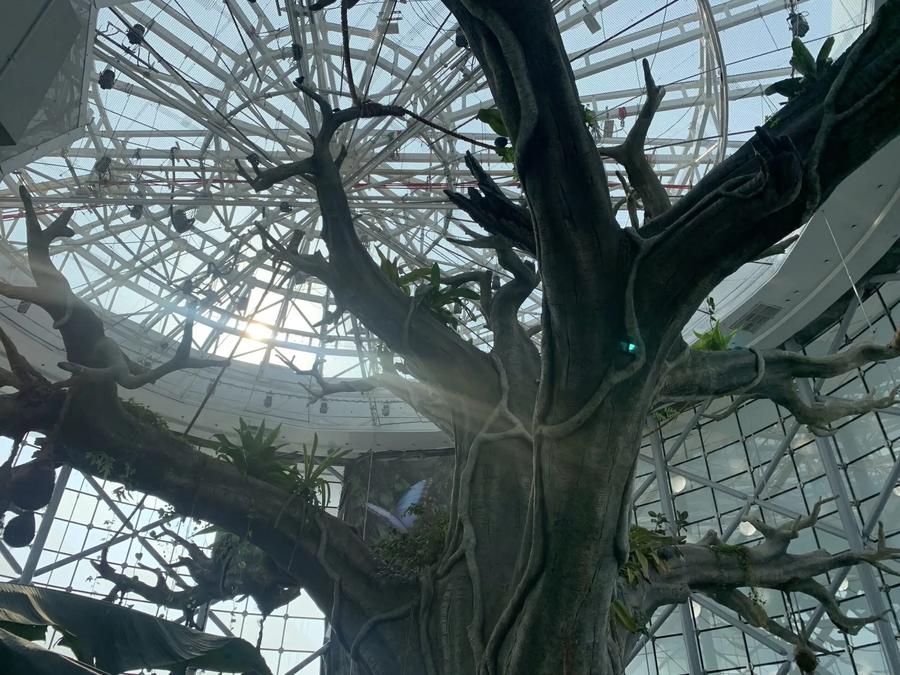 Green Planet Dubai arbol