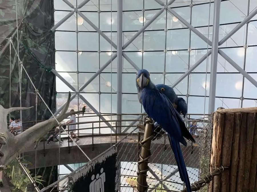 Parque de la Naturaleza dubai