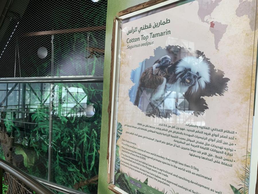 Los animales de Green Planet