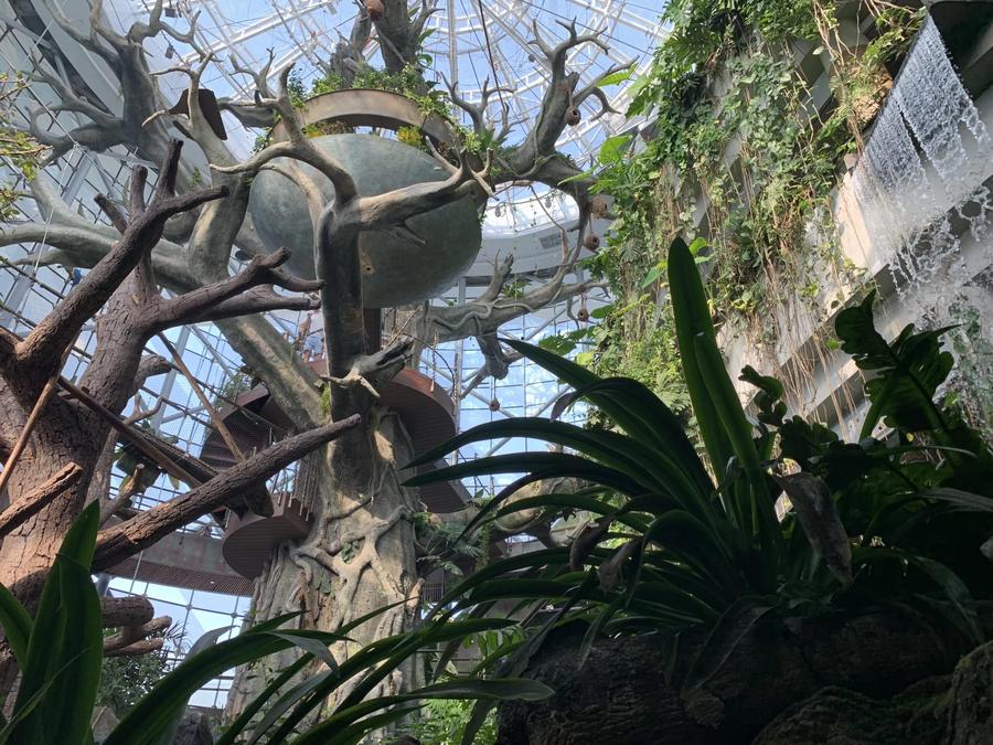 Horarios Green Planet Dubai