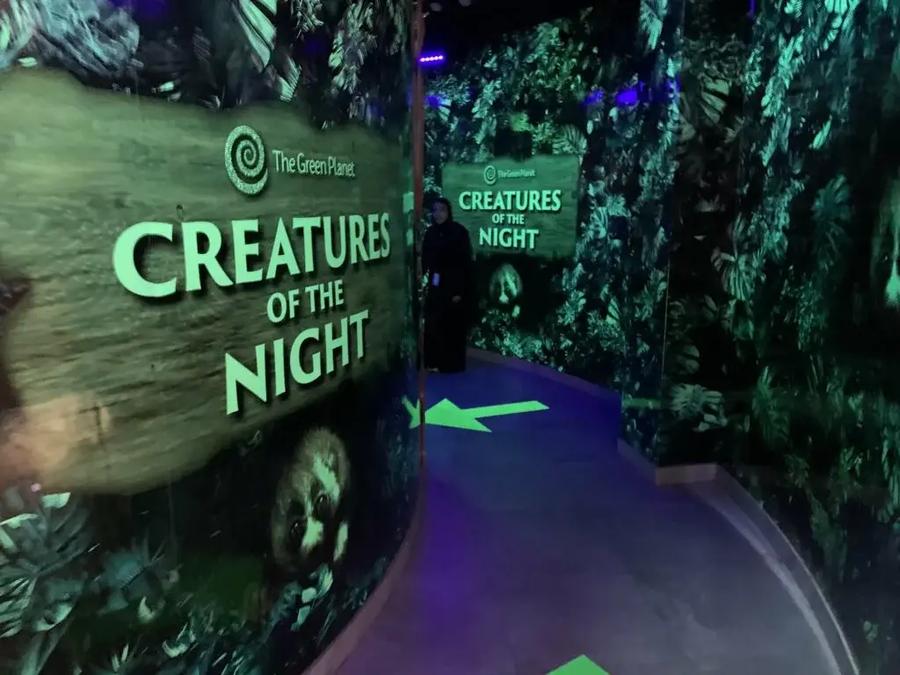 Criaturas nocturnas Green Planet Dubai