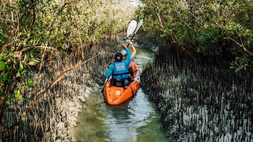 Hacer kayak en el Parque Nacional Eastern Mangrove abu dhabi