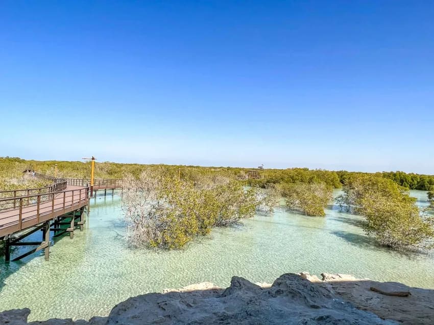 Hacer kayak en el parque de los Manglares de Jubail