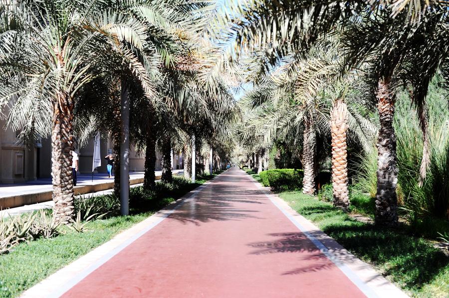 Parque Al Ittihad Palm-Jumeirah