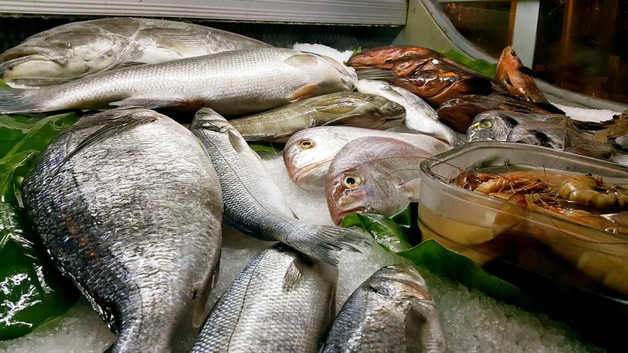 Mercado de Pescado en Jumeirah