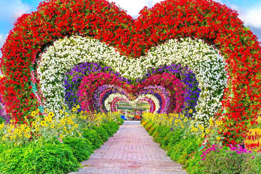 ir a Miracle Garden en dubai