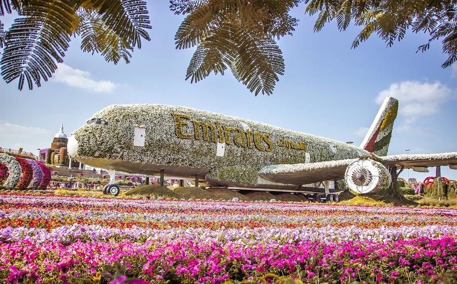 visitar Miracle Garden en dubai 3 dias
